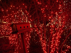 038 Toledo Zoo Light Show [2008 Dec 27]